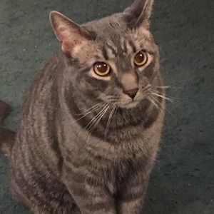 Meet your Posher, Holly